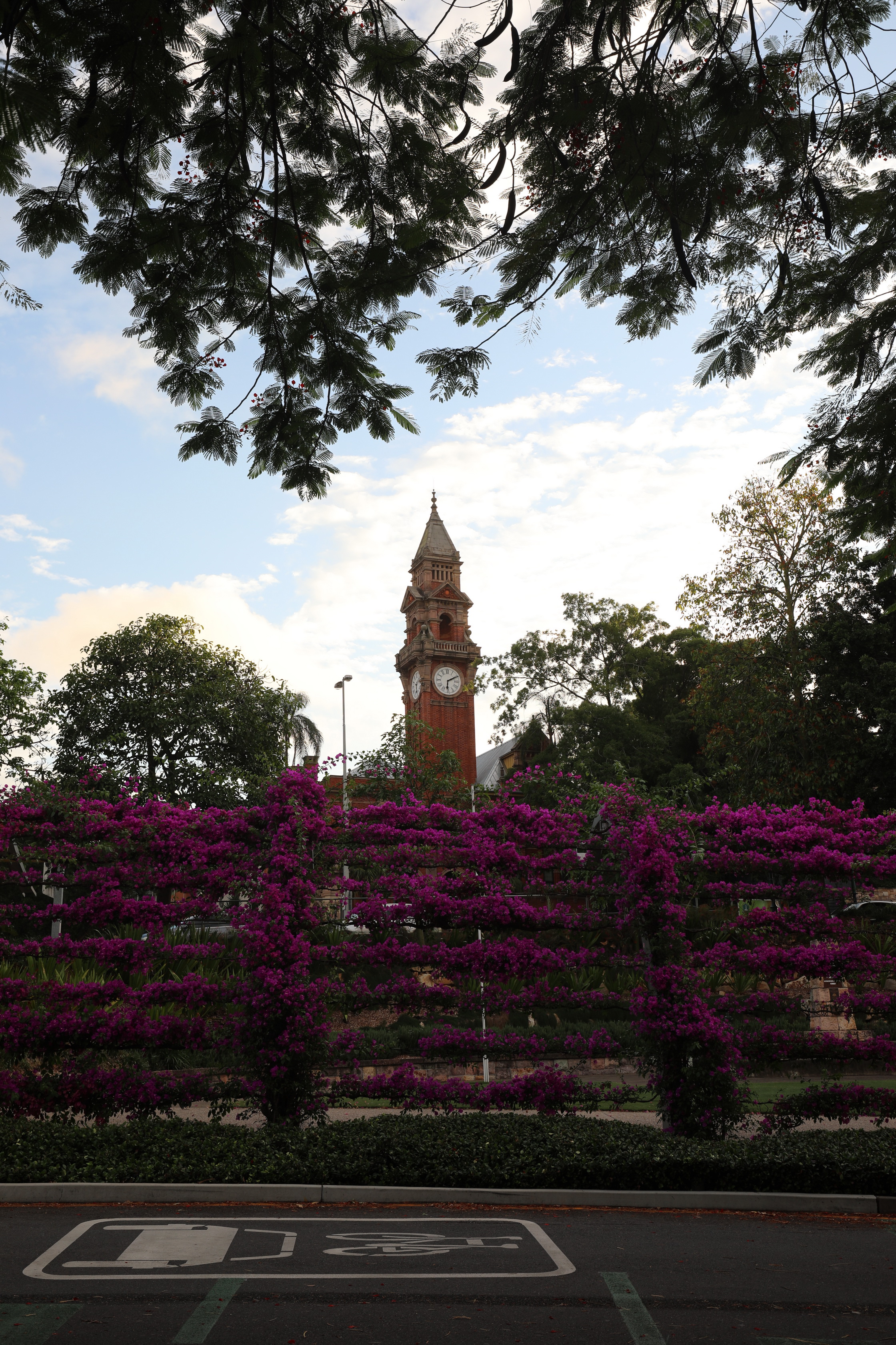 2020 01 20 19 11 30 Canon EOS 5D Mark IV 0045